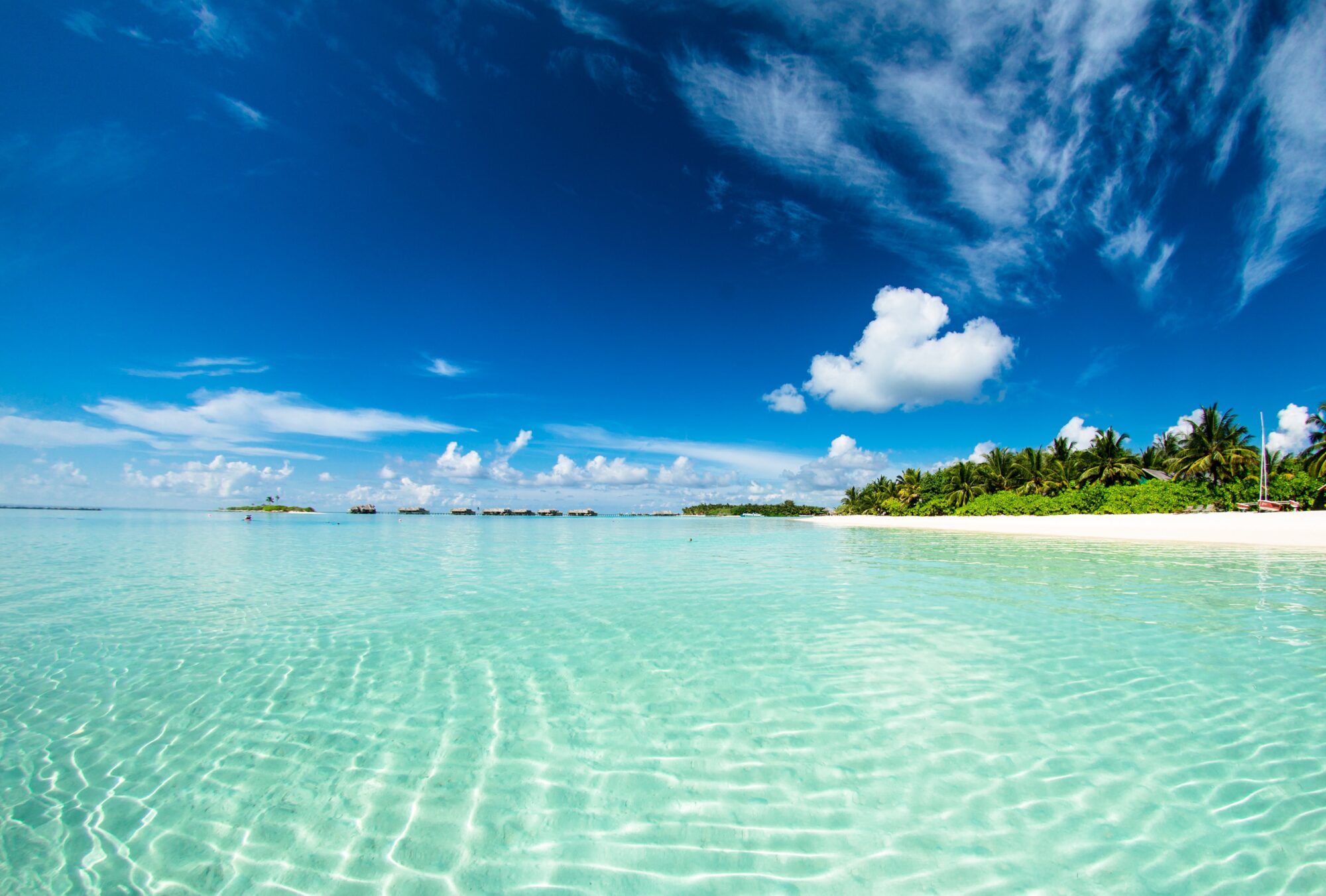 Beach Resort